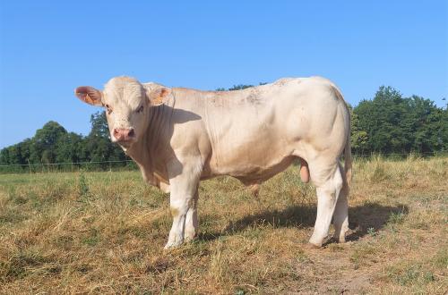 VALTRA