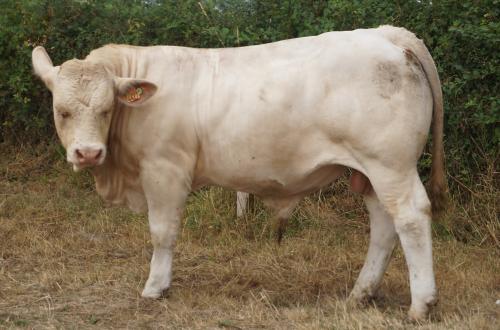 4427 VALDOISE 2