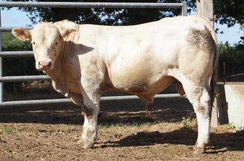 5435 ACTIF P 1