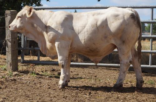 5499 AVEYRON 1