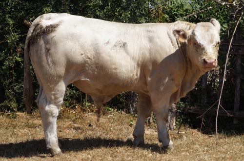 5565 VALDERAMA 3