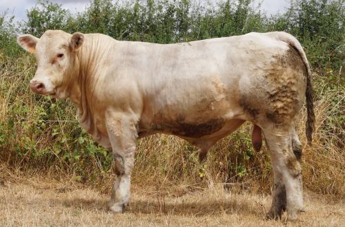 5601 GAEC KESSLER 11