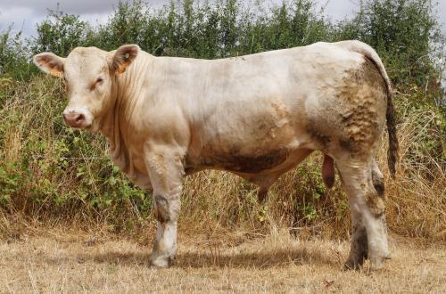 5601 GAEEC KESSLER 2